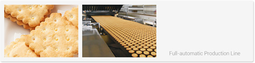 Soft / Hard Biscuit Machine  